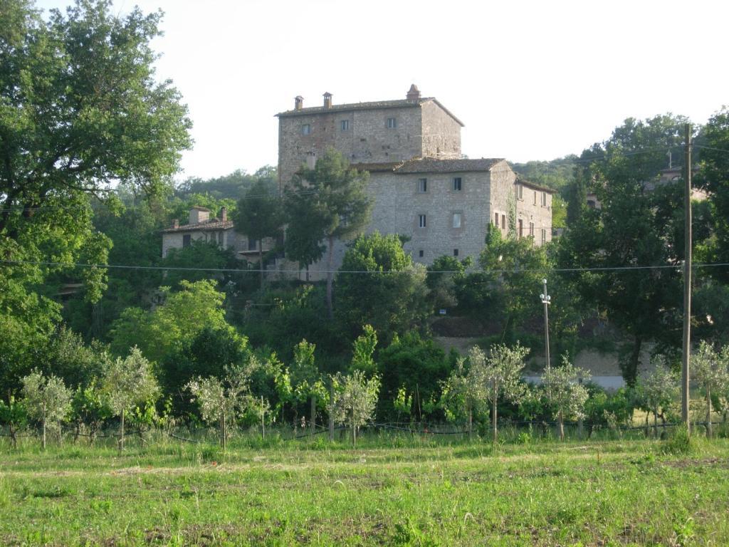 Gli Appartamenti Di Torre Bertona Todi Room photo